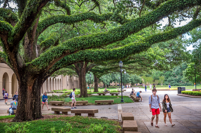 Students in Quad