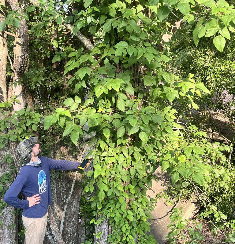 landscape architecture student stands under tree