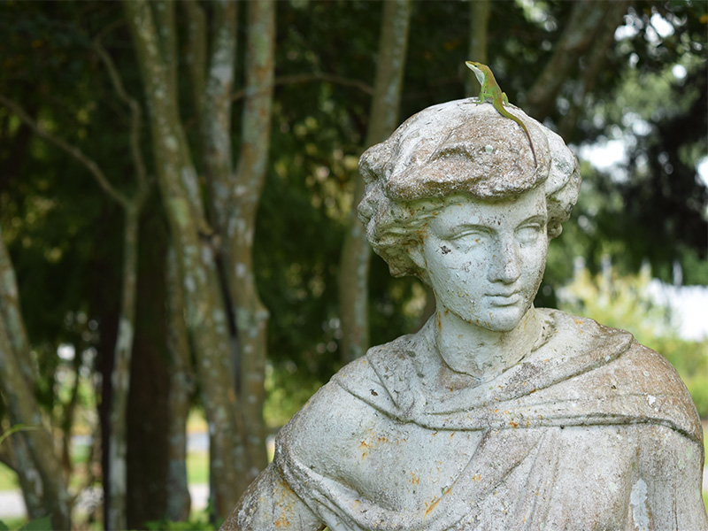 lizard on statue in garden