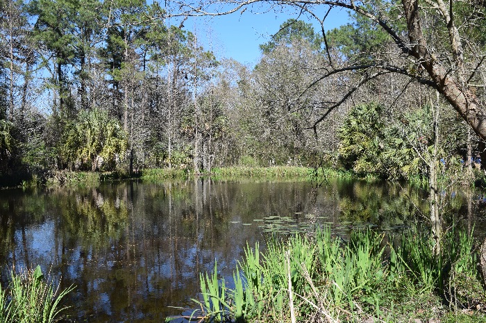 Barton Arboretum | LSU AgCenter Botanic Gardens