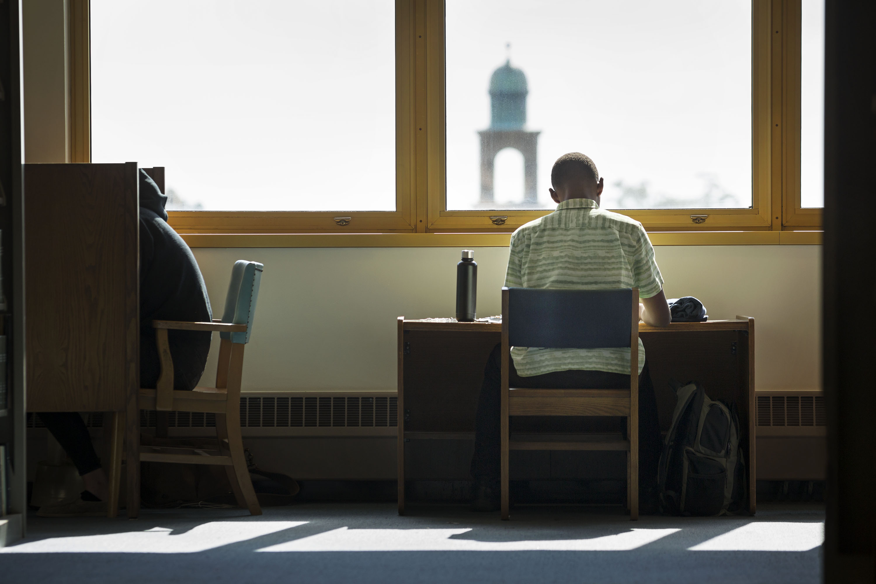 Student studying in library