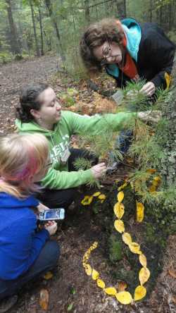 teachers arranging leaves by tree stump