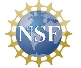 NSF Logo