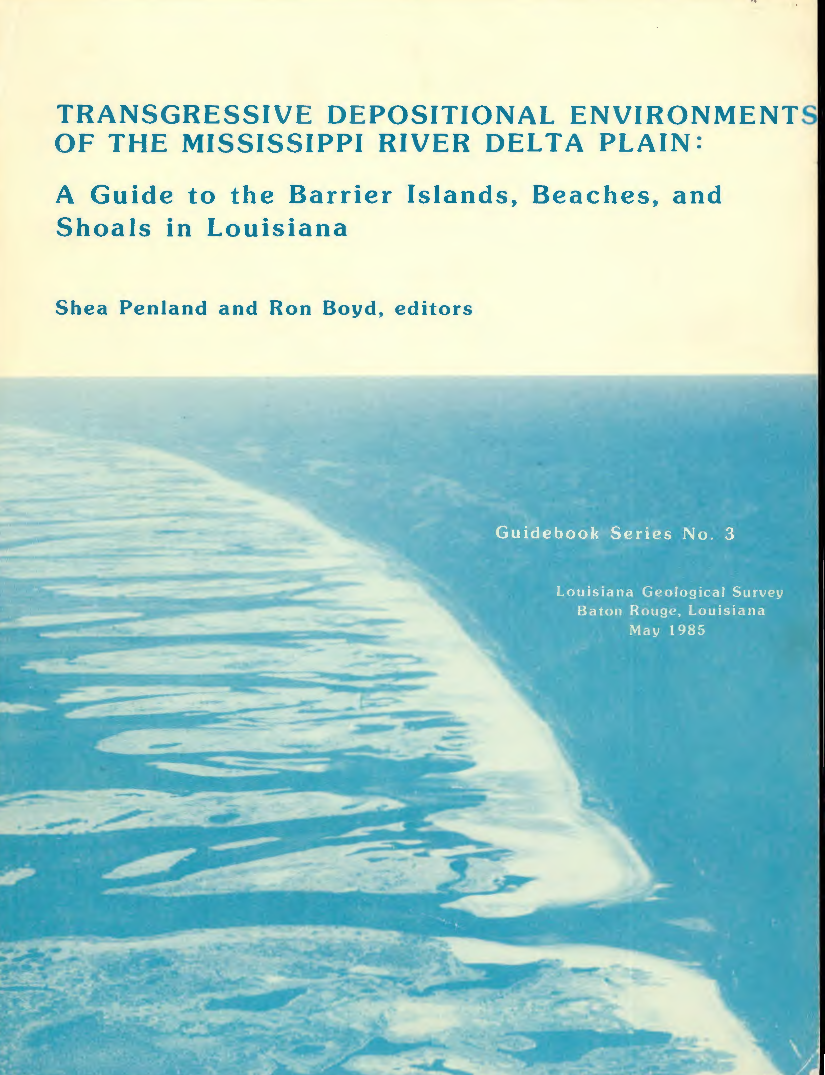 Transgressive Depositional Environments of the Mississippi River Delta Plain