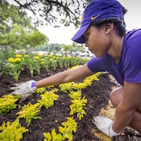 Student tests soil.