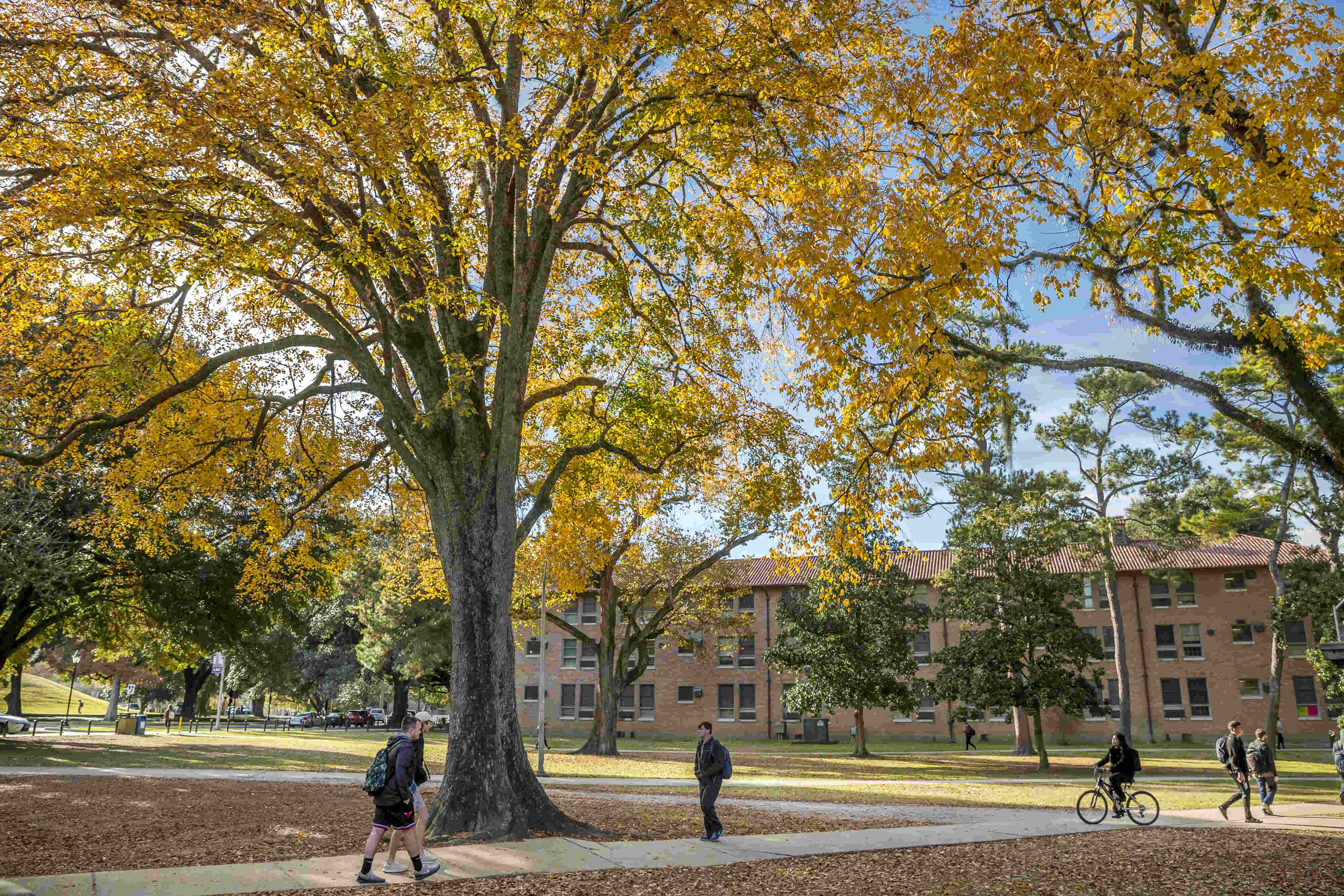 students walk across campus in fall leaves