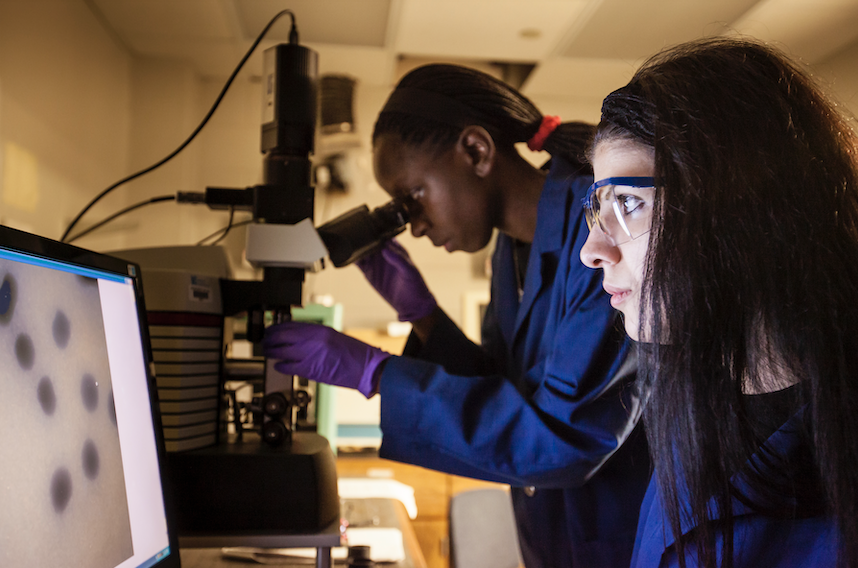 students in lab